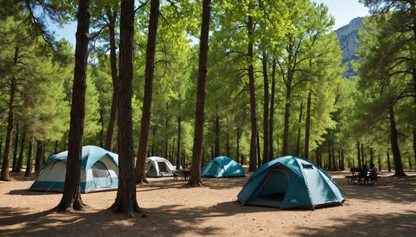 Camping près du verdon parc : nature et confort au camping les pêcheurs