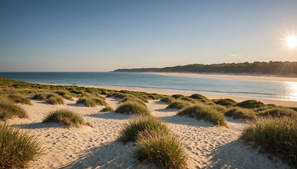 Découvrir la nature de la manche en mode camping