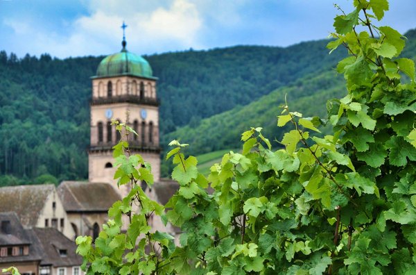 Quels sont les lieux incontournables à visiter lors d'un road trip en Alsace ?