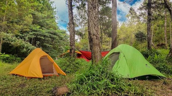 Optez pour un camping proches des châteaux de la Loire