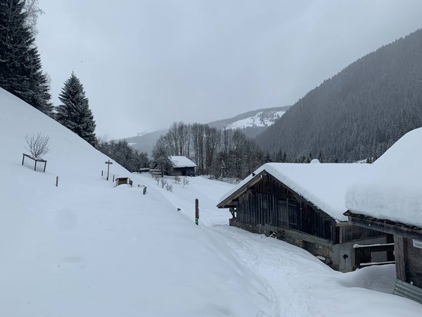 Camping d'hiver en montagne: aventures et conseils